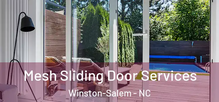 Mesh Sliding Door Services Winston-Salem - NC